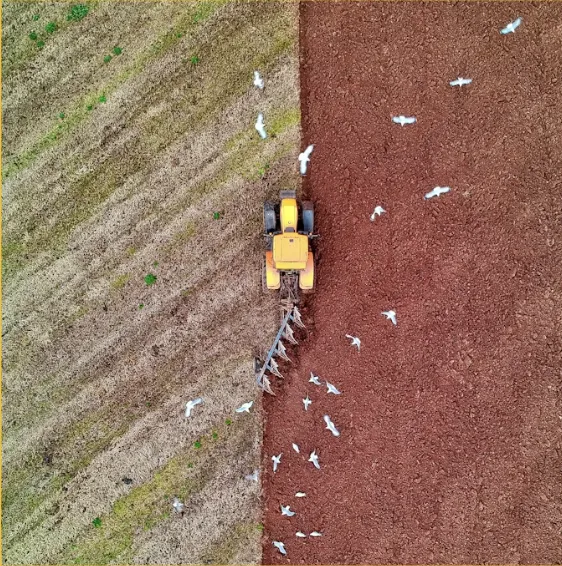 Land Governance pic
