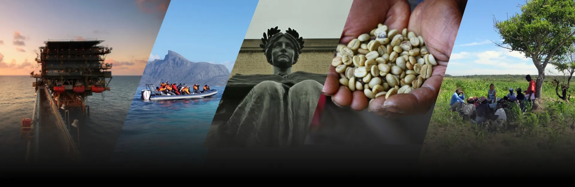 collage of five images