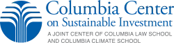 ccsi logo