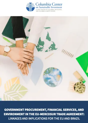 publication cover photo