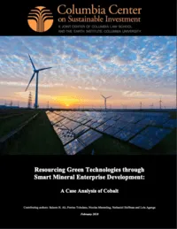 publication cover photo