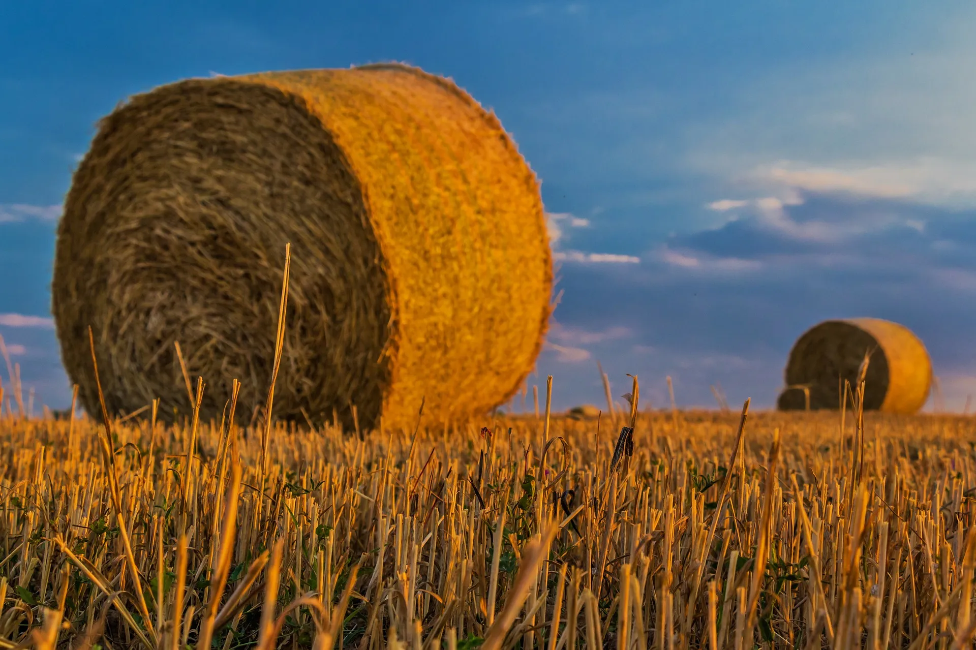 bales of hay