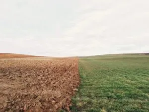 farm