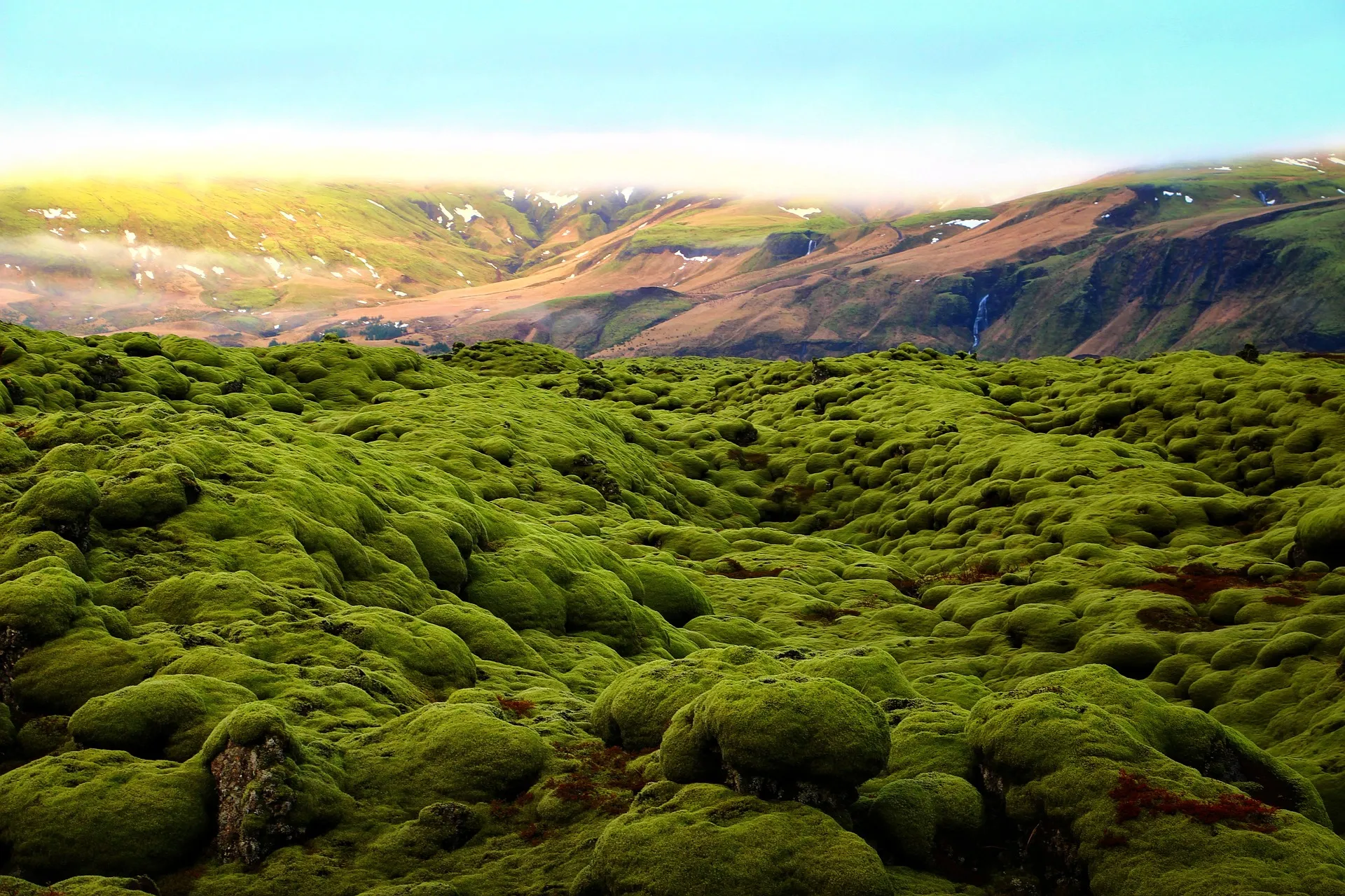 green field