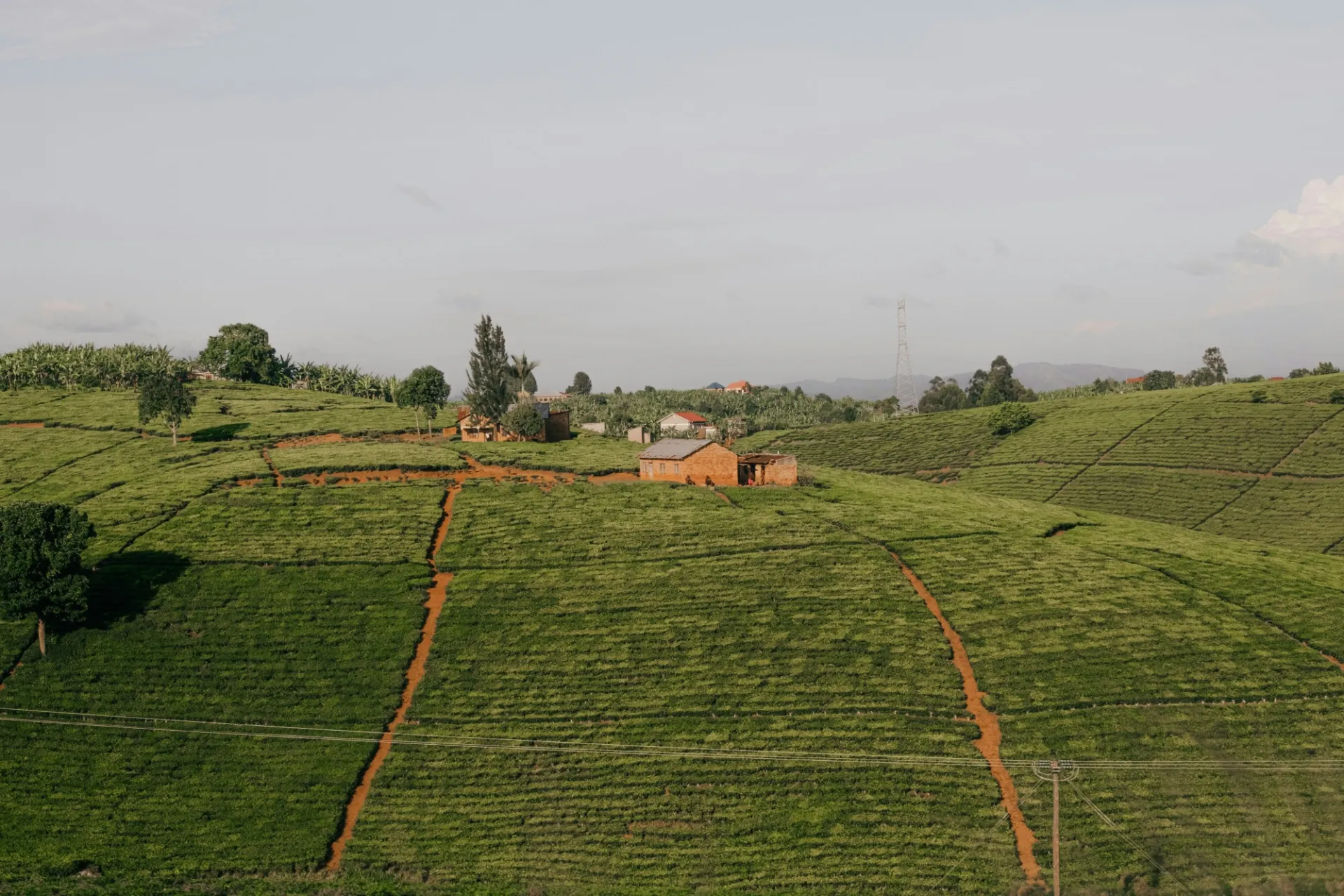 Image of farm with house