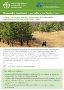 Creating an Enabling Environment for Responsible Investment in Agriculture and Food Systems