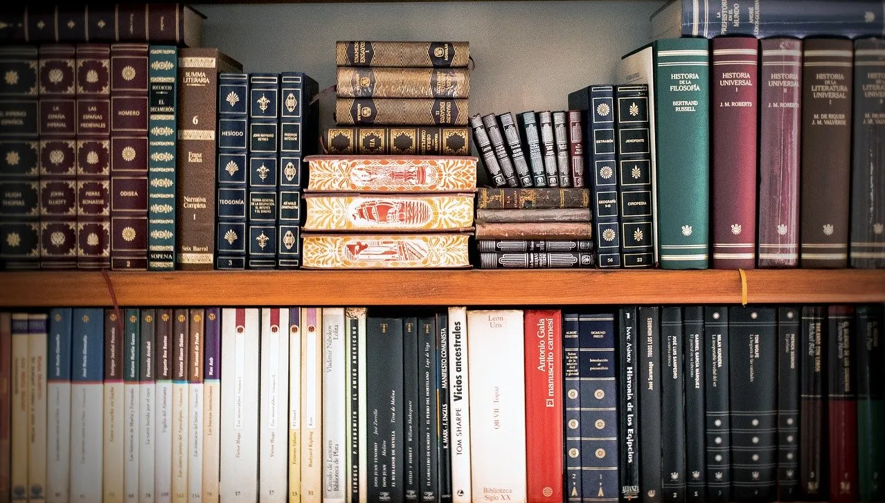 Shelf of books