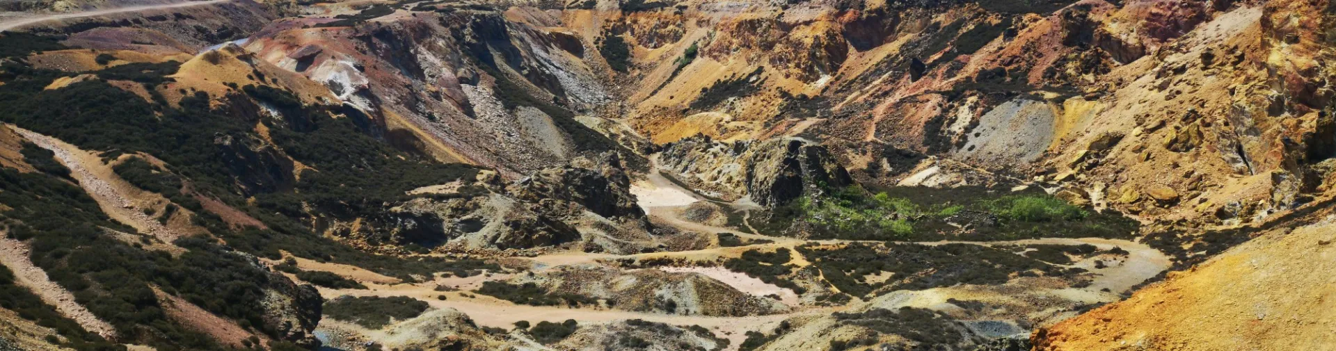 Critical Minerals