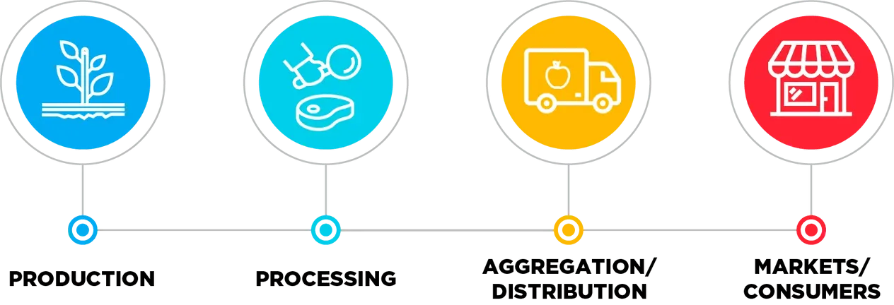 Line graphic with four points: production, processing, aggregation/distribution, and market/consumers