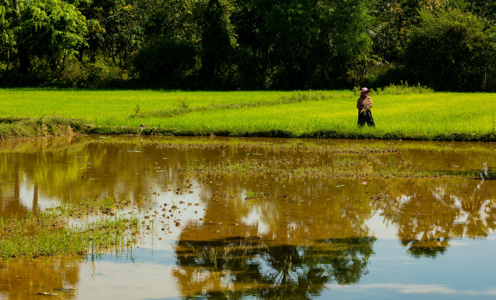 image of man in field, next to a body of water